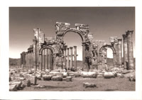 cjp_Monumental Gate Palmyra_VDB