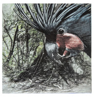 cjp_Palm Cockatoo_photopolymer gravure