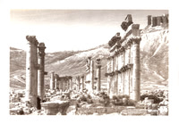 cjp_colonnaded street Palmyra_VDB