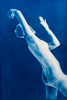cjp_fight the light#1_cyanotype