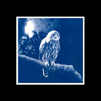 cjp_Barking Owl_cyanotype
