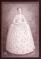 SB-Painted-Lady-1-Salt Print