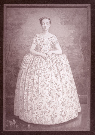 SB-Painted-Lady-1-Salt Print