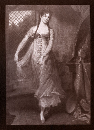 SB-Painted-Lady-2-Salt Print