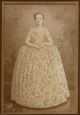SB -Painted-Lady-Albumen